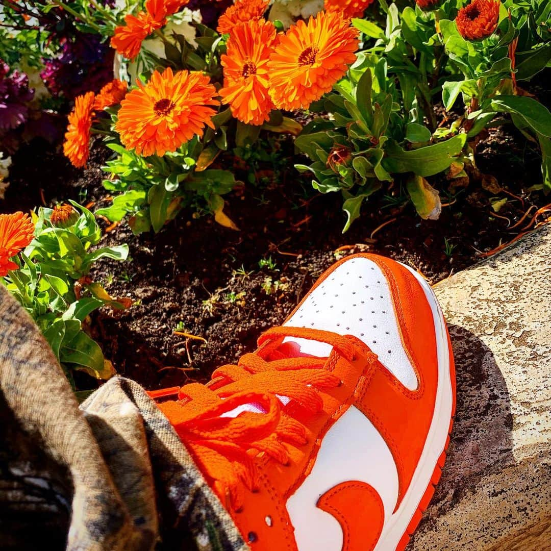 イルマニアさんのインスタグラム写真 - (イルマニアInstagram)「🟠🏵🧡🍊 ・ ・ #イルマニア#mcma#orange#nike#dunk#flower #花#好き」3月29日 10時18分 - mcma0821