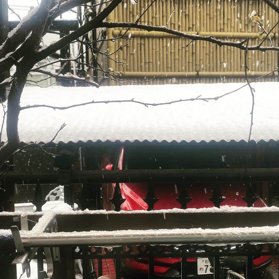 鴨志田由貴のインスタグラム：「家の窓から見える景色が、思ってた以上に雪景色で驚いた。」