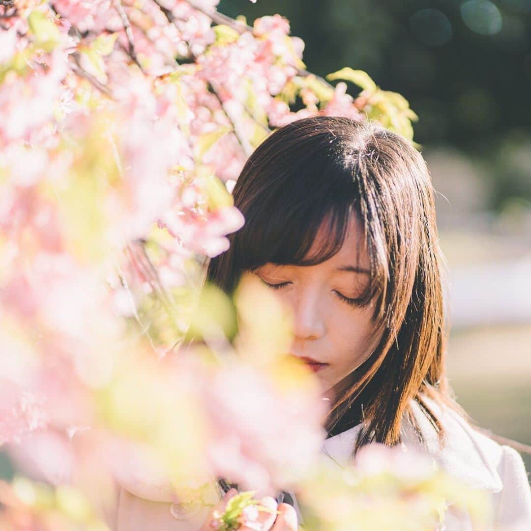 櫻間りえのインスタグラム：「悠長に桜眺めてた時期が懐かしい。。。」
