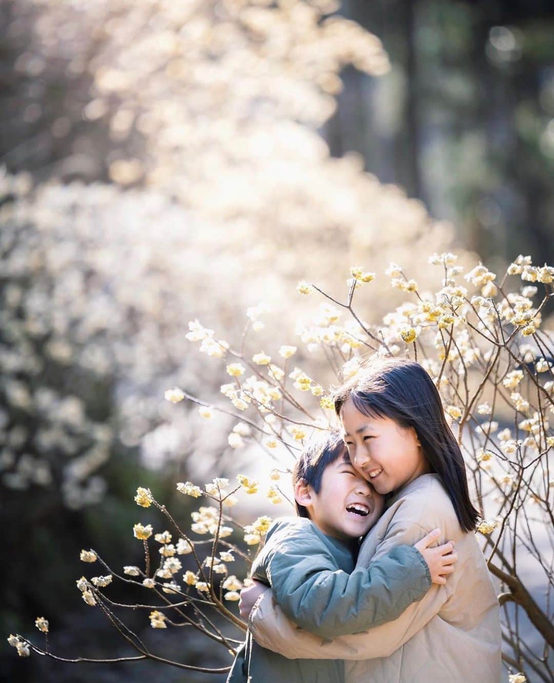 はなまっぷ❁日本の花風景さんのインスタグラム写真 - (はなまっぷ❁日本の花風景Instagram)「🌷🌸はなまっぷの春まつり🌸🌷 * @eriinocci さんの  花のある風景に花まるを💮 * 人々の心にも花が咲く日本の美しい春をありがとうございます😊🌸 * 大分　#長崎鼻　 Nagasakibana, Oita Pref. 大分　#国東市 Kunisaki, Oita Pref. * 🌼ナノハナの花言葉📝🌼 小さな幸せ、元気いっぱい 🌼ミツマタ の花言葉📝🌼 肉親の絆、永遠の愛 * 今年に限らず過去に撮影されたお写真も含めて、春の花風景をご紹介しています🌸 みなさんの素敵なお写真で、日本の美しい春を楽しみましょう😊 * 🌸•••🌸•••🌸•••🌸•••🌸•••🌸 * いつも素敵なお花をありがとうございます😊 日本の花のある風景にタグ付けしてください🌸 お花があれば何でもOKです💓 * #はなまっぷ * #日本の美しい花風景#花のある風景#花#花言葉#風景#花畑#春#ナノハナ#菜の花#ミツマタ#三椏」3月29日 11時03分 - hanamap