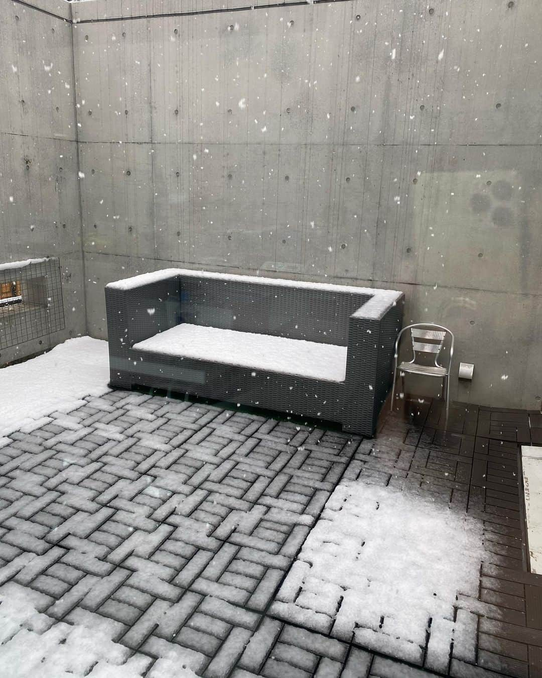 奈美悦子さんのインスタグラム写真 - (奈美悦子Instagram)「朝から雪😳😳😳 お散歩行けないね〜。 退屈だよね〜😅#雪#春なのに#桜大丈夫かな#寒い#寒暖差が激しい#お散歩行きたいね#退屈#クッキー#愛犬#キングチャールズスパニエル#ブラックタン#三歳#可愛い」3月29日 11時24分 - nami.etsuko