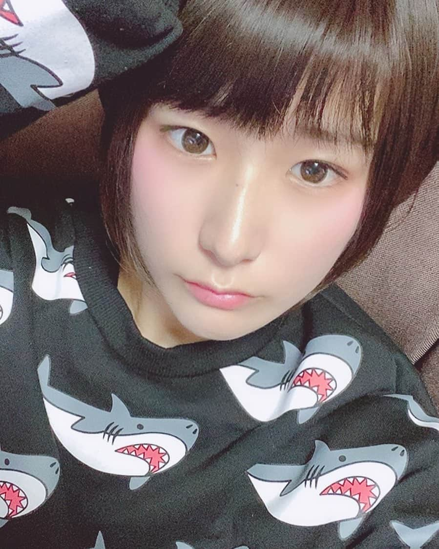 来栖うさこさんのインスタグラム写真 - (来栖うさこInstagram)「🦈 サメのトップスお気に入りすぎて めっちゃ着てる(๑╹ω╹๑ )✨✨ . 予報通り、雪ですね☃️ . 昨日暖かったのにびっくりだ〜 . . . . #来栖うさこ  #齧り付きたいお尻 #愛媛県産グラドル #グラドル #グラビア #グラビアアイドル #ショートカット女子 #ショートヘア #お尻 #model #cosplayer #gravureidol #japan #tokyo #asiangirls #sexy #サメ #サメ🦈」3月29日 11時28分 - kurusu_usako