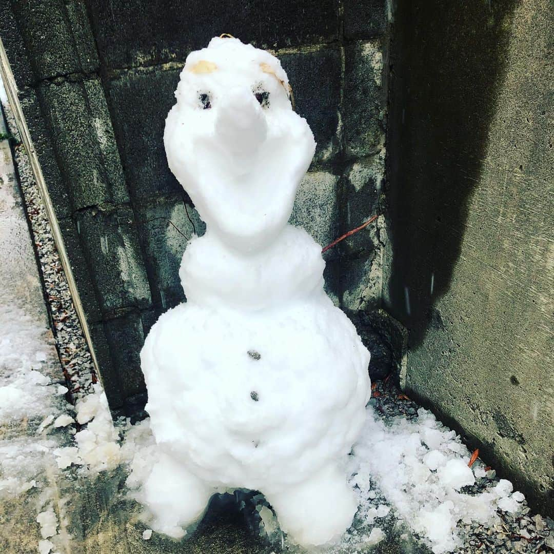 諸岡なほ子さんのインスタグラム写真 - (諸岡なほ子Instagram)「車の上の雪をおろしたらオラフに変身！  って、言いたかったけど、  ええっと、 見えるかな… オラフに…。 息子のリクエストに応えようとやり始めたら止まらなくなったパターン。  それにしても、まだ降るのか。 3月末なのに。 嘘みたい。  コロナで出かけられない子どもたちへの贈り物だな。  #オラフ #olaf #家で過ごそう #雪 #牡丹雪」3月29日 12時06分 - morookanahoko