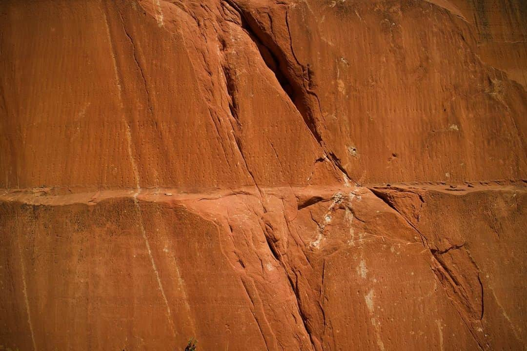 アンドリュー・ドッズさんのインスタグラム写真 - (アンドリュー・ドッズInstagram)「It’s just an old red rock I found ⛰」3月29日 12時38分 - andrew_dodds