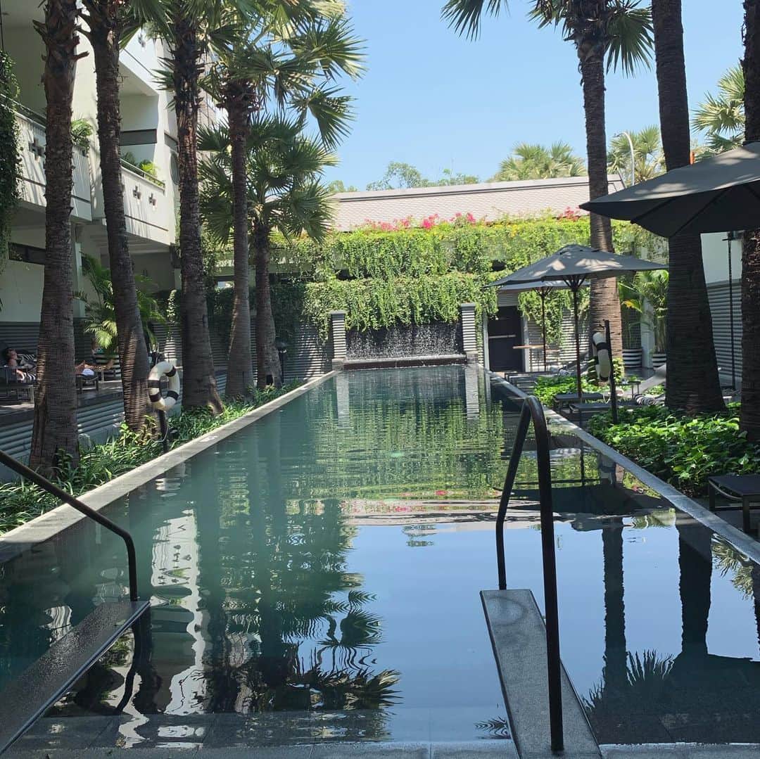 大桃美代子さんのインスタグラム写真 - (大桃美代子Instagram)「Shintamani Hotel in Siem Reap.  very cute🇬🇧 、  暹粒的Shintamani酒店。  很可爱🇨🇳 、  씨엠립의 신 가끔 호텔.  너무 귀여워🇰🇷 、  シェムリアップのシンタマニホテル 。🇯🇵 可愛かった🥰  シェムリアップにはステキなホテルがたくさんありました。 ブランコシートがたまらなくかわいい😍  また行きたいから、今は健康でいないとね。。。 3/29日のブログで、カンボジアの旅についてかいています。  プロフィールから飛んでくださいね。  #カンボジア##FAMTrip#シェムリアップ#siemreap#シェムリアップ日本語ガイド #funtotrip#旅の思い出#またいつか#5星ホテル #5星#5star #Cambodia #KingdomofWonderFeeltheWarmth」3月29日 12時47分 - miyoko_omomo