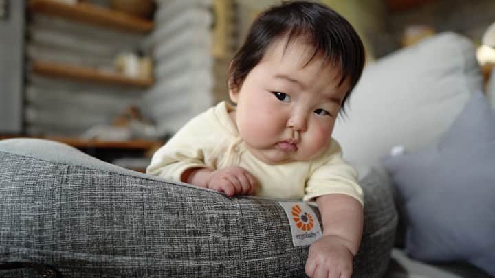 のインスタグラム：「みなしゃーん✨ 29日の今日テンちゃんは、4ヶ月になりましゅた。 掴まってなら、うつ伏せ出来るようになりましゅたよぉ〜👶🏻 でも、どんどん下に落ちていきましゅよ〜  #令和ベビー #ままのて #新米ママと繋がりたい #女の子ベビー #令和元年ベビー #0歳 #親バカ #女の子 #育児記録 #ベビー #育児日記 #スマイル育児 #新生児 #babygirl #べびすたぐらむ #ベビライフ #乳児 #子育てぐらむ #生後4ヶ月 #ベビー服 #新米パパ #癒し #うつぶせ #うつ伏せ遊び #うつぶせトレーニング」