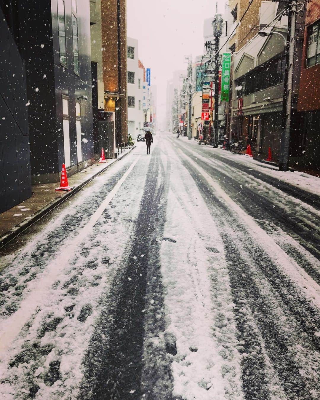 美川憲二さんのインスタグラム写真 - (美川憲二Instagram)「札幌じゃないのよ！札幌じゃないのよ‼︎ここは今日の東京です‼️🤪😳😵⛄️⛄️⛄️⛄️❄️❄️❄️❄️💦💦 季節はずれの雪〜 結構積もってます〜😵⛄️⛄️⛄️ でも　近所のコンビニに行っただけなので🚶‍♀️💦💦　ご安心くだされ〜😝😃✌️ この程度の雪じゃ　スニーカー👟で じゅうぶんな　ヒデコなの‼️ だって　札幌に毎月行ってましたから〜😃😀💪⛄️⛄️⛄️❄️❄️ 東京のみんなー 歩くときは　かかとから🦶よ〜 なら　滑らないので‼️😃👍👍 てっか　都内自粛要請中だから 今日は　歩かないかぁ‼️😜😛💦💦 #今の東京の風景  #季節はずれの雪  #けっこう積もってる  #美川憲一 #美川憲二 #ヒデコフランセスカ #オネェ系 #ものまね」3月29日 12時57分 - mikawakenji