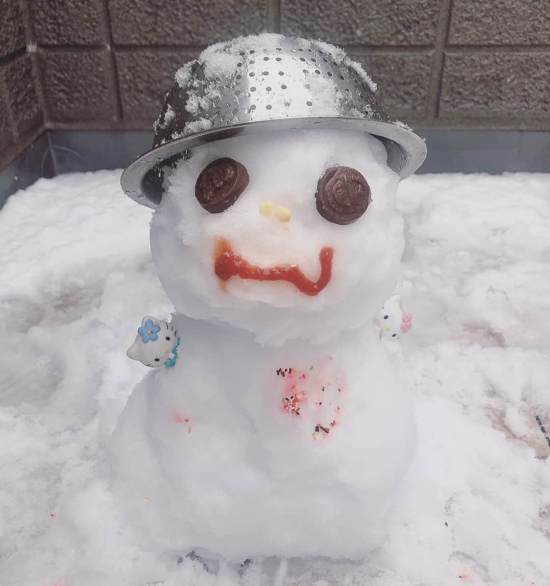 森本さやかさんのインスタグラム写真 - (森本さやかInstagram)「雪むしゃむしゃ食べてるから… ちょっと美味しそうにしてみよっか！ってトライしたけど冷たくてもうだめ…😭👏 ☃️❄️☃️❄️☃️❄️ #雪だるま  #snowman  #cold  #サク山チョコ次郎 🍫 #cooking」3月29日 13時02分 - sayakamorimoto1011