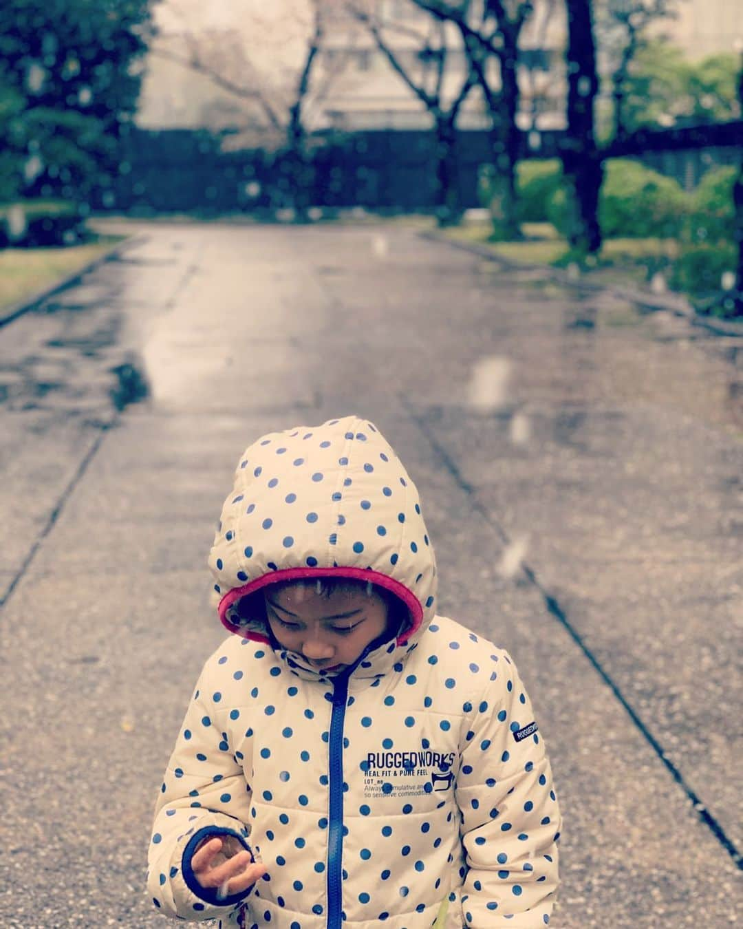 伊藤孝恵さんのインスタグラム写真 - (伊藤孝恵Instagram)「今日の東京は真冬並みの寒さ。花散らしの雪です。そんな中、最近の口ぐせ「勇気！愛情！遊び心！」を叫ぶ5歳😅誰に習ったんだろう。とっても素敵な合言葉。  #季節外れ  #東京雪 #3月下旬 #桜と雪 #花散らし #勇気 #愛情 #遊び心 #いつの間に #5歳女子 #合言葉 #笑顔 #元気の源 #愛娘 #参議院議員 #国民民主党  #ジワジワ #仲間をつくる #2児の母 #女の子ママ #ワーママ #Domani #ドマーニ #domanist  #伊藤たかえ #伊藤孝恵」3月29日 13時17分 - itotakae