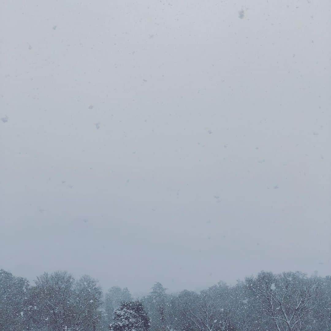純名里沙さんのインスタグラム写真 - (純名里沙Instagram)「ウソのようなホントの雪❄️☃️ 桜もびっくりしてるだろうな。。 ・ 大福くんは丸くなってます🐱 皆さまご自愛くださいね。 ・ #雪 #ゆき #春の雪 #ねこはこたつで丸くなる #こたつないけど」3月29日 13時44分 - risajunna3158