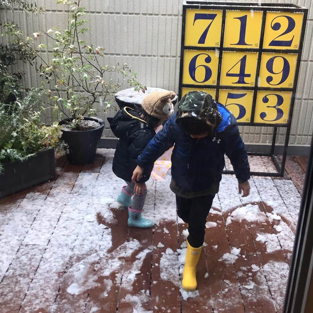 潮田玲子さんのインスタグラム写真 - (潮田玲子Instagram)「ほんとに雪だぁ〜❄️ チビ達テンション上がってるとこ横目に久々にケーキを焼いてみるという… 美味しいかは別としてこの気持ちの余裕に自分でも驚いた笑笑🤣☝️ #三月の雪 #珍しいね #ケーキ焼くって #何年ぶりだろう #時間に余裕があるって素敵 #ケーキ焼くなんてね #お家時間 #珍しいこともあるもんだ #チビ達は雪ボールで #ストラックアウト」3月29日 14時00分 - reikoshiota_official