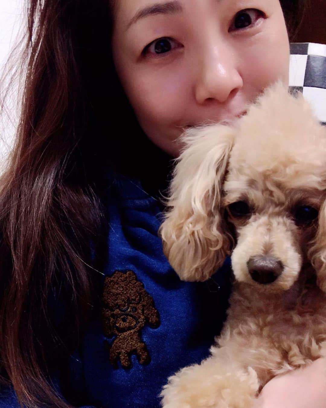 井上貴子のインスタグラム：「Laundryのパーカー。  トイプのデニム風^ ^  ブラックプードルのものは たくさんあるけど  柊音の色（ゴールド）は はじめてなので あんまり持ってないさ^ ^  この子 赤ちゃんの時から よく吐く子なんだけど  大雨や雪の予報の前日にかぎって 寝室にてやるもんだから…  家の中に シーツやら毛布やら干してある。  そんな日曜日…^ ^  みなさん^ ^ お大事にねーーっっ  Happyで^ ^  #井上貴子  #LLPWX #女子プロレス #紅緒と柊音 #この子は柊音（ひおん） #トイプードル部 #Laundry #パーカー #オリンピック延期」