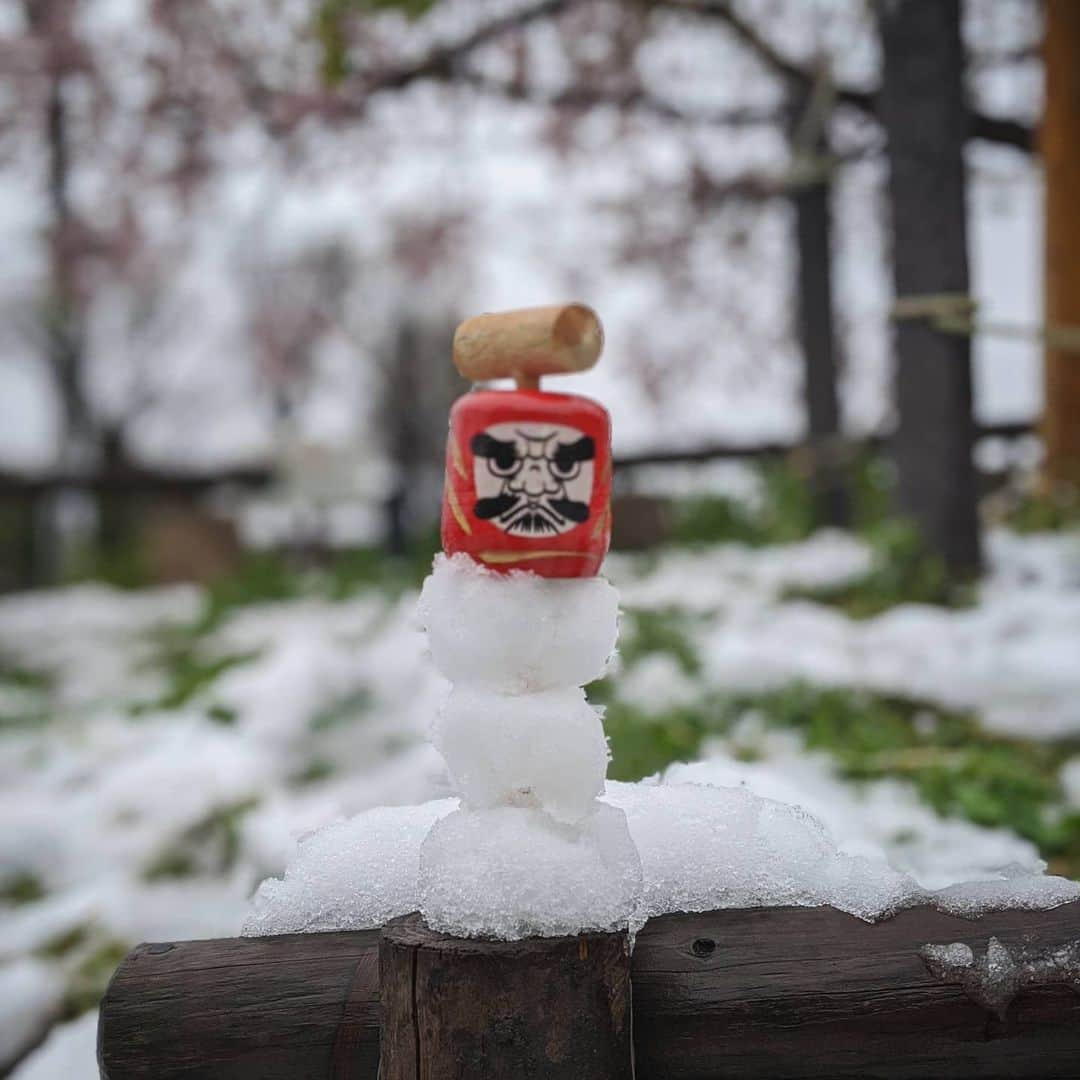 磯部正文のインスタグラム：「雪だるま落とし」