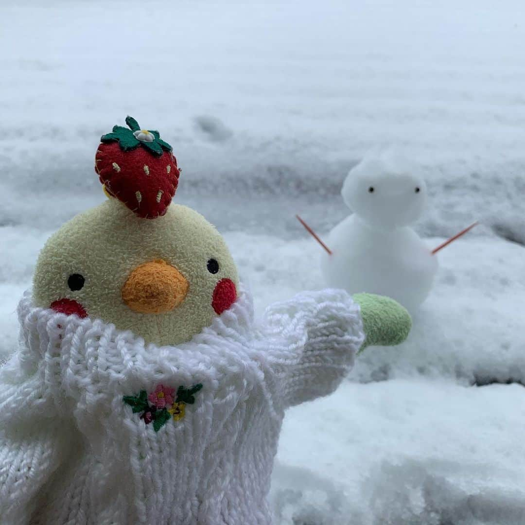 江口ともみさんのインスタグラム写真 - (江口ともみInstagram)「昨日あんなにあったかかったのに雪だなんてねー❄️💦 とりあえず雪だるま作ってみたよ  #fumofumosan #フモフモさん #おかちゃん #東京雪#雪だるま」3月29日 14時22分 - tomomin.eguchi