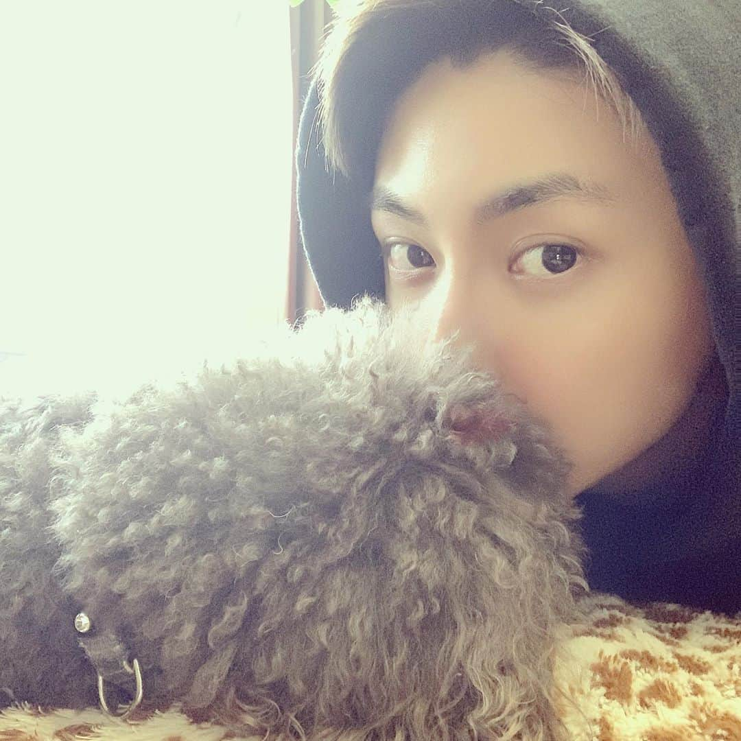 與真司郎さんのインスタグラム写真 - (與真司郎Instagram)「俺と昼寝してるふうちゃん(17歳)🐶❤️ 昨日みさこに言われた通り久しぶりにプライベートの写真をインスタにアップ🙈🙈🙈 自撮り恥ずかしい。。。﻿ ﻿ こんな感じでいいですか？笑﻿ ﻿ #おうち時間﻿ #みんなおうちでなにしてるかな？﻿ #與真司郎」3月29日 14時25分 - shinjiroatae1126