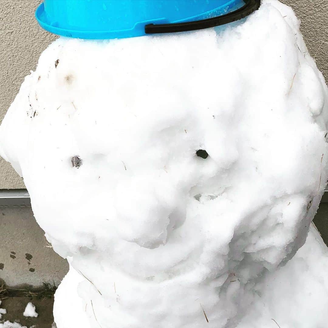 古市憲寿さんのインスタグラム写真 - (古市憲寿Instagram)「甥っ子が作った雪だるまなのですが、なんか禍々しい。　#雪だるま」3月29日 14時47分 - poe1985