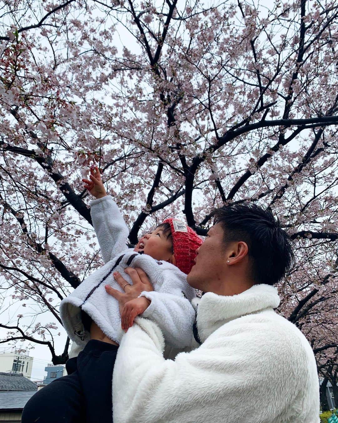 渡部太基のインスタグラム：「. 春に咲く雪 #雪桜 #❄️🌸 #思ひ出 #20200329  #northface男子 #わたべんちのれおうくん」