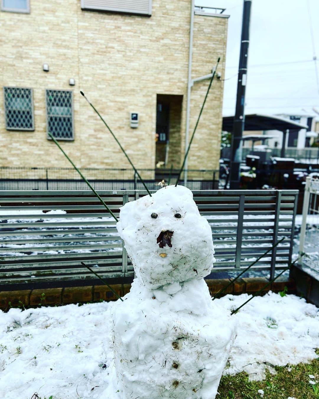 長島涼平のインスタグラム：「俺の超大作になるはずだった作り途中の雪だるまが目を離した隙に近所の子たちにやられまくってた  #雪だるま #刺さり」