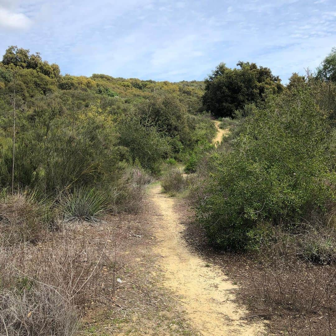 D・W・モフェットさんのインスタグラム写真 - (D・W・モフェットInstagram)「The beauty...and the reality...of social distancing. #socialdistancing #topanga #notasoulonthehike」3月29日 15時34分 - dwmoffett