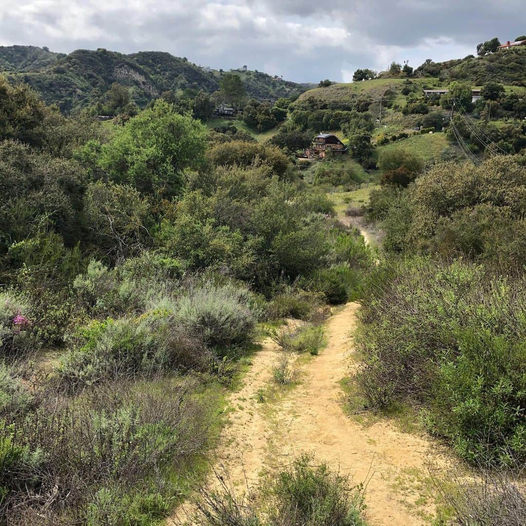 D・W・モフェットのインスタグラム：「The beauty...and the reality...of social distancing. #socialdistancing #topanga #notasoulonthehike」