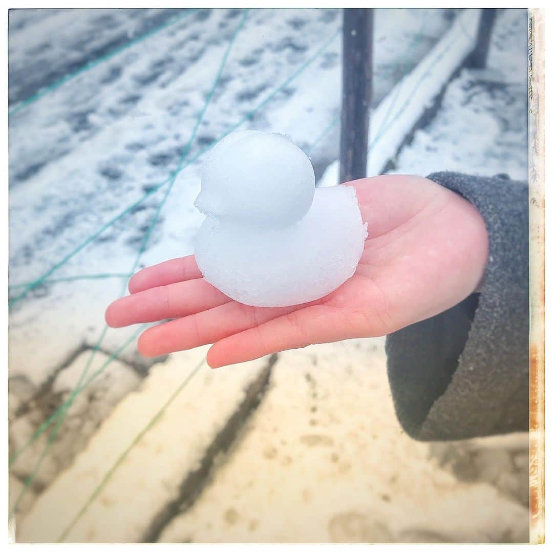 奥森皐月さんのインスタグラム写真 - (奥森皐月Instagram)「. . あかちゃん . . . #奥森皐月 #雪 #積雪 #雪だるま #あひる #日曜日 #幼児 #スターダストプロモーション」3月29日 15時54分 - satuki_okumori_official