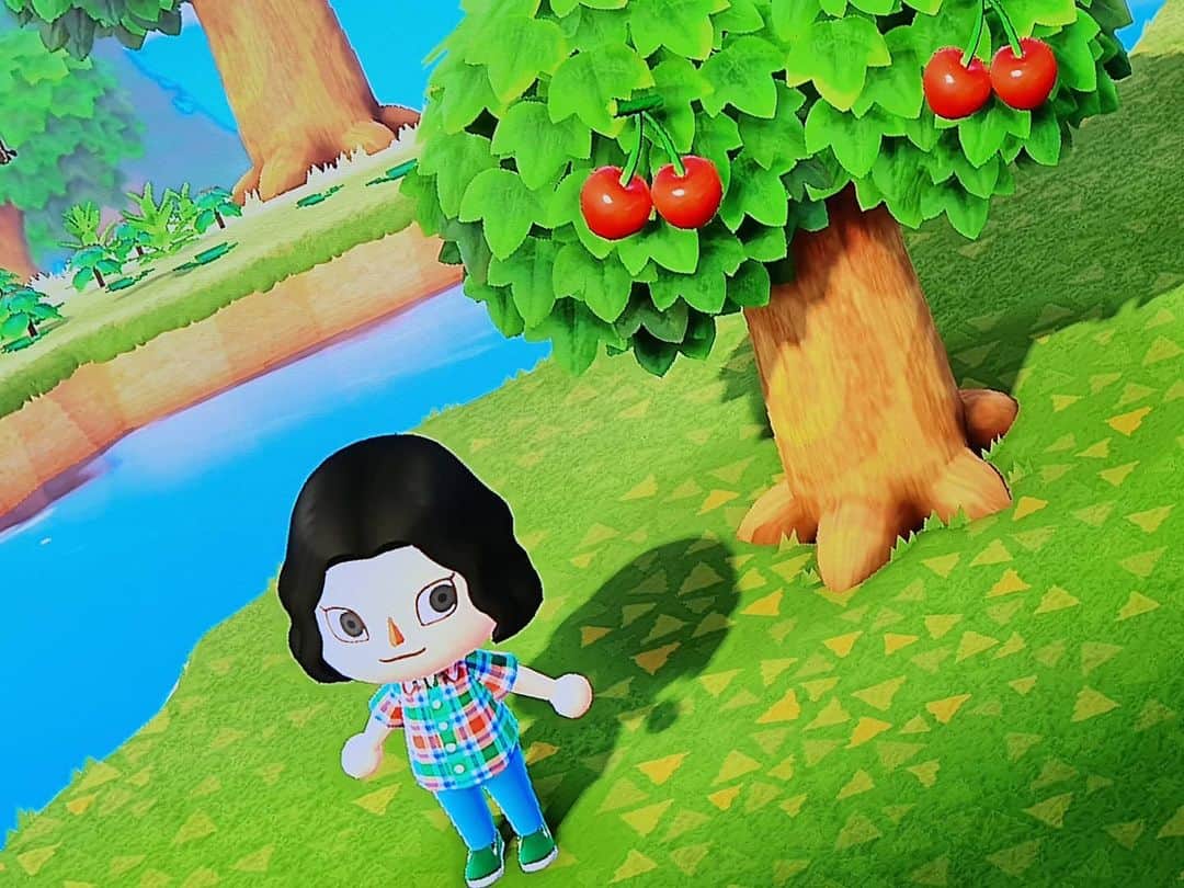 のインスタグラム：「누가 봐도 김체리🍒 #동물의숲」