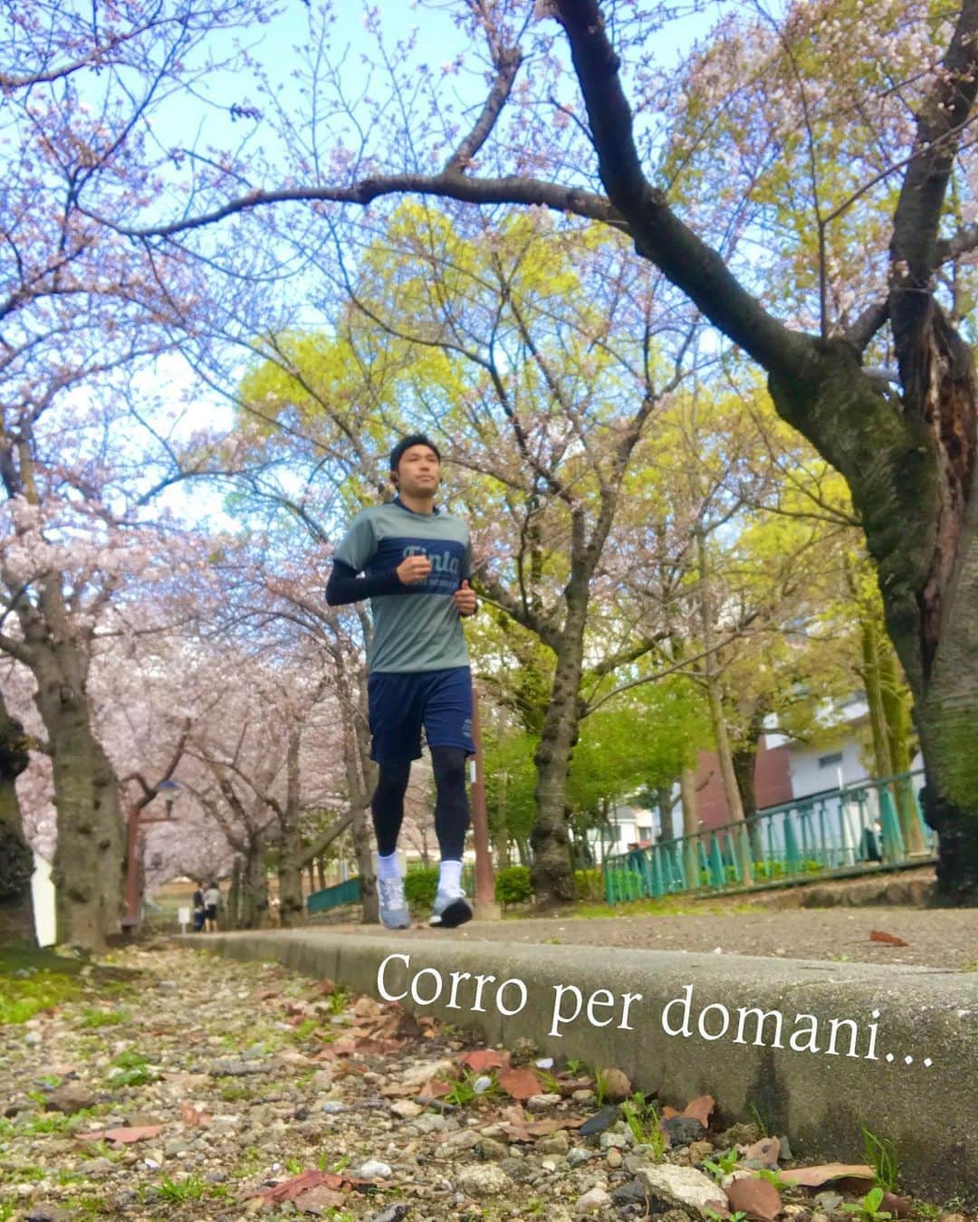 藤川朋樹さんのインスタグラム写真 - (藤川朋樹Instagram)「#spring #sakura #finta #activital #nasyu #KOBE #running #selfie」3月29日 16時22分 - fujiemon10