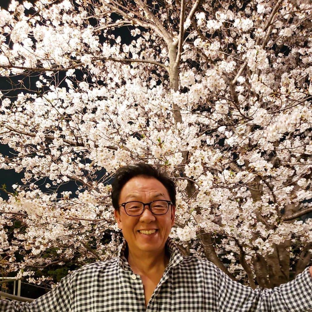 梅沢富美男さんのインスタグラム写真 - (梅沢富美男Instagram)「またまたパジャマで失礼します。 今日は東京も雪が積もってますね。 昨夜、雪で散ってしまう前にと撮影した、桜お裾分けします！」3月29日 16時34分 - tomioumezawa