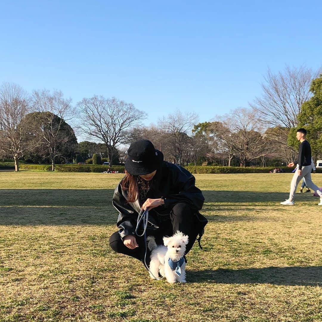 Cassie Luさんのインスタグラム写真 - (Cassie LuInstagram)「Long time no see everyone  This ins means I’m still alive and I’m trying to have a happy life though that’s a hard thing to try. I’m still trying to do better and trying to explore my thoughts 💭 that’s one of my dreams right now.」3月30日 2時24分 - cassisungria