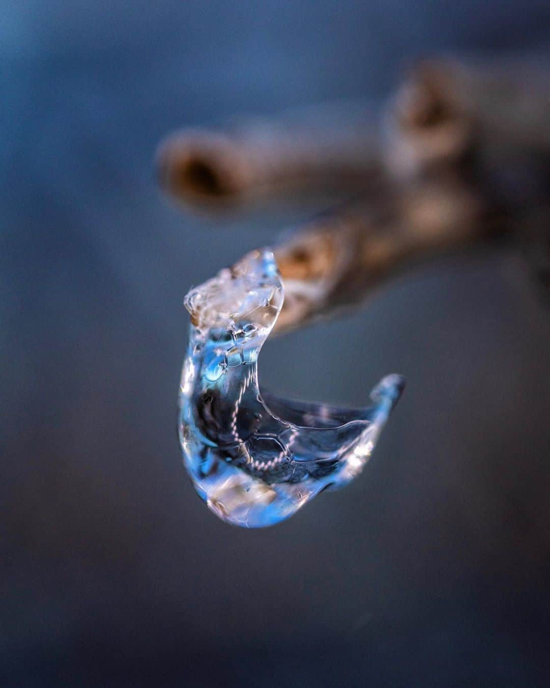 アンジー・ペインのインスタグラム：「Frozen dew drops. It’s that time of year when dew drops begin to grace the grass and it’s still chilly enough that they often freeze. Here are some frozen drops — some from the recent backyard exploration and some from the archives. • • • #macro #macrophotography #backyardmacro」