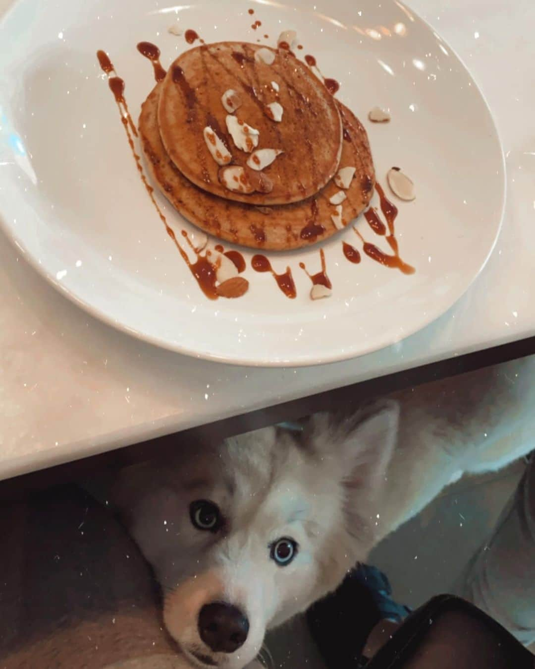 カルロス・コレアさんのインスタグラム写真 - (カルロス・コレアInstagram)「The pups joined us for breakfast this morning 🥞☕️」3月30日 2時49分 - teamcjcorrea