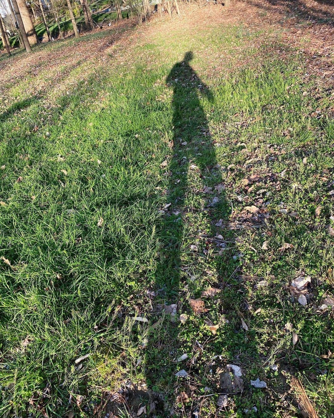 ポーター・ロビンソンのインスタグラム：「⎌」