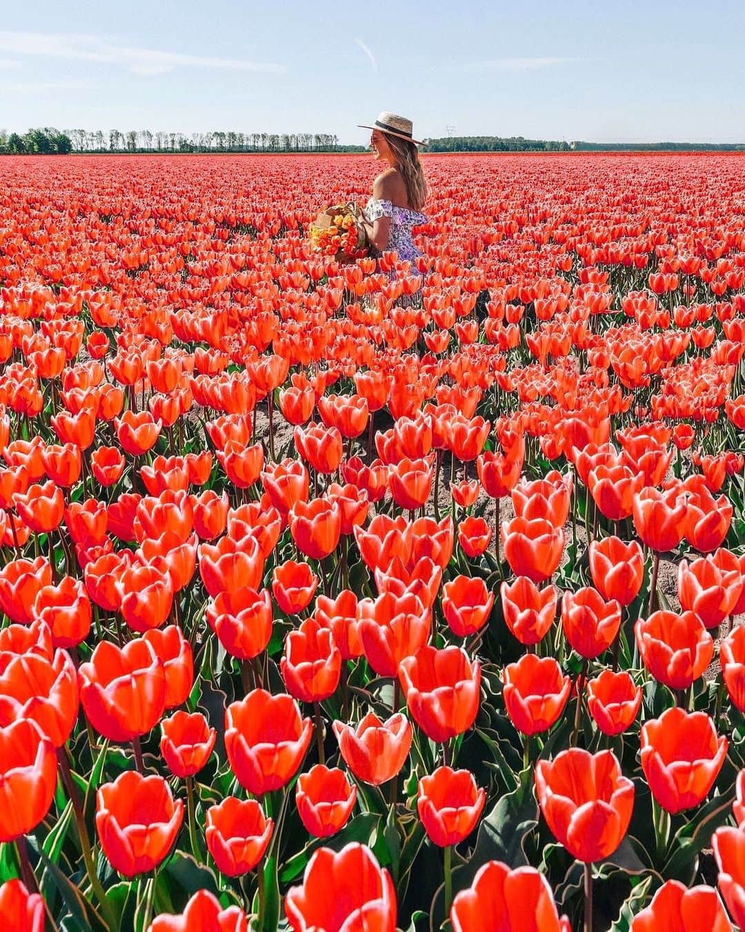 Izkizのインスタグラム：「Throwing it back to this time last year when I was frolicking in the flower fields in Holland. Ah, the good old days! Will life ever get back to normal? I still wake up in disbelief at what is happening in the world 🌷 #Spring」