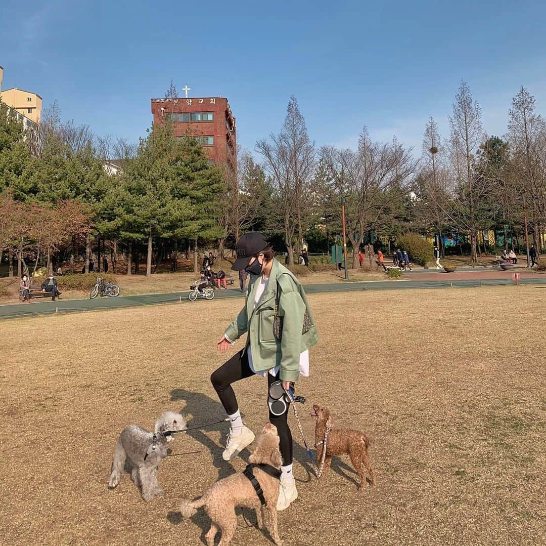 カン・ヘヨンさんのインスタグラム写真 - (カン・ヘヨンInstagram)「망고 + 호두 + 두부 합체🐶🐶🐶♥️♥️♥️ 다리 사이에 망고 빼꼼!ㅋㅋㅋㅋㅋ 행복하지만 힘들고 힘들지만 행복한 세마리 산책^ㅁ^..!! 세마리 다 성격이 달라서  정말...☺️ㅌㅋㅋ」3月29日 18時53分 - mangdoo_noona