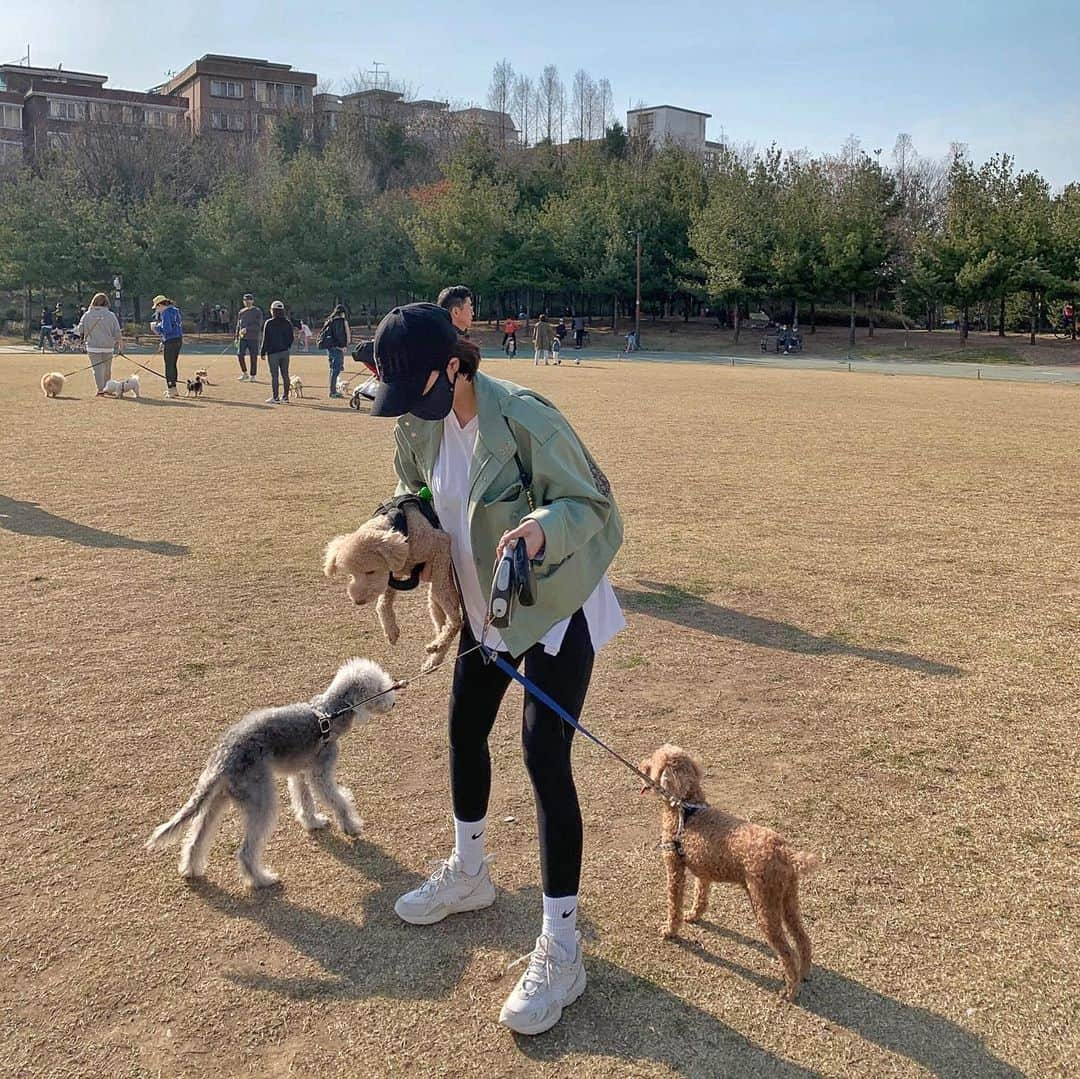 カン・ヘヨンさんのインスタグラム写真 - (カン・ヘヨンInstagram)「망고 + 호두 + 두부 합체🐶🐶🐶♥️♥️♥️ 다리 사이에 망고 빼꼼!ㅋㅋㅋㅋㅋ 행복하지만 힘들고 힘들지만 행복한 세마리 산책^ㅁ^..!! 세마리 다 성격이 달라서  정말...☺️ㅌㅋㅋ」3月29日 18時53分 - mangdoo_noona