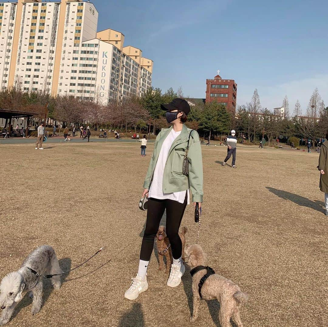 カン・ヘヨンさんのインスタグラム写真 - (カン・ヘヨンInstagram)「망고 + 호두 + 두부 합체🐶🐶🐶♥️♥️♥️ 다리 사이에 망고 빼꼼!ㅋㅋㅋㅋㅋ 행복하지만 힘들고 힘들지만 행복한 세마리 산책^ㅁ^..!! 세마리 다 성격이 달라서  정말...☺️ㅌㅋㅋ」3月29日 18時53分 - mangdoo_noona