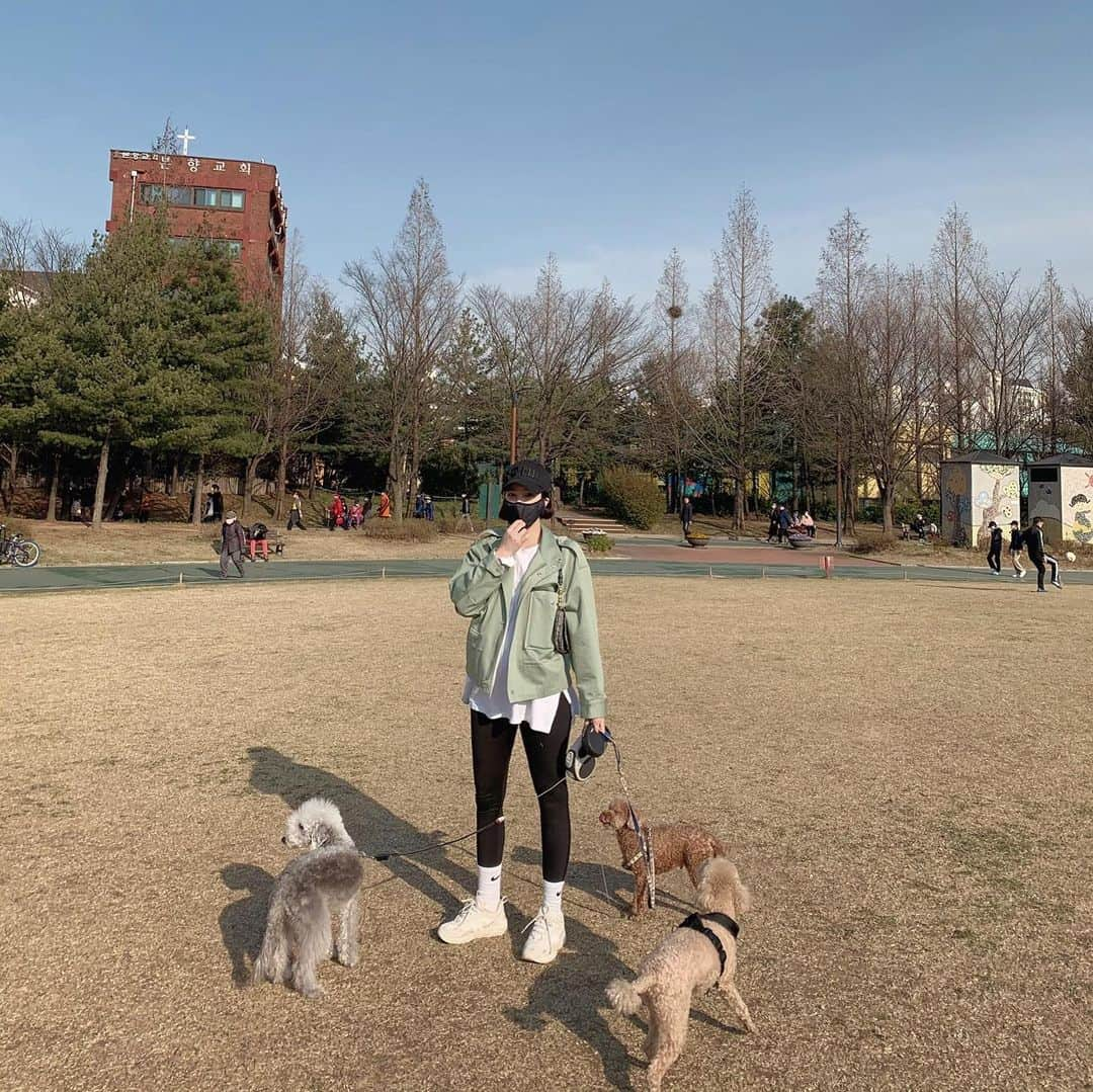 カン・ヘヨンさんのインスタグラム写真 - (カン・ヘヨンInstagram)「망고 + 호두 + 두부 합체🐶🐶🐶♥️♥️♥️ 다리 사이에 망고 빼꼼!ㅋㅋㅋㅋㅋ 행복하지만 힘들고 힘들지만 행복한 세마리 산책^ㅁ^..!! 세마리 다 성격이 달라서  정말...☺️ㅌㅋㅋ」3月29日 18時53分 - mangdoo_noona