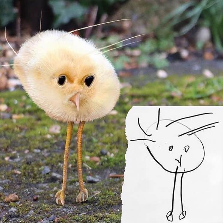 Canon Photographyさんのインスタグラム写真 - (Canon PhotographyInstagram)「Child’s drawings re-created by his Dad on photoshop. Which one is your favourite? 😂 Digital Art | @thingsihavedrawn  Curated by @steffeneisenacher  #photoshop #funnydrawing #drawing #digitalart #animals」3月29日 19時23分 - cpcollectives
