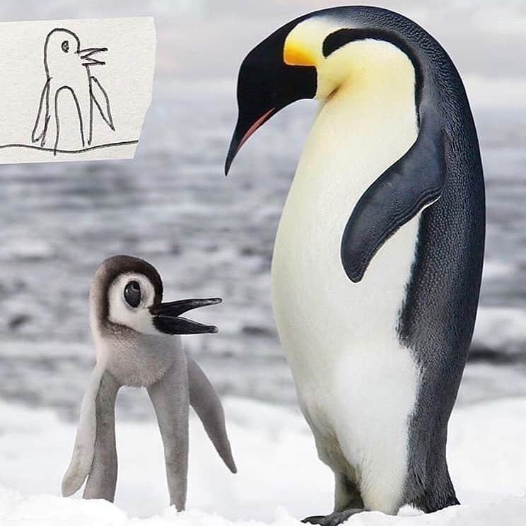 Canon Photographyさんのインスタグラム写真 - (Canon PhotographyInstagram)「Child’s drawings re-created by his Dad on photoshop. Which one is your favourite? 😂 Digital Art | @thingsihavedrawn  Curated by @steffeneisenacher  #photoshop #funnydrawing #drawing #digitalart #animals」3月29日 19時23分 - cpcollectives