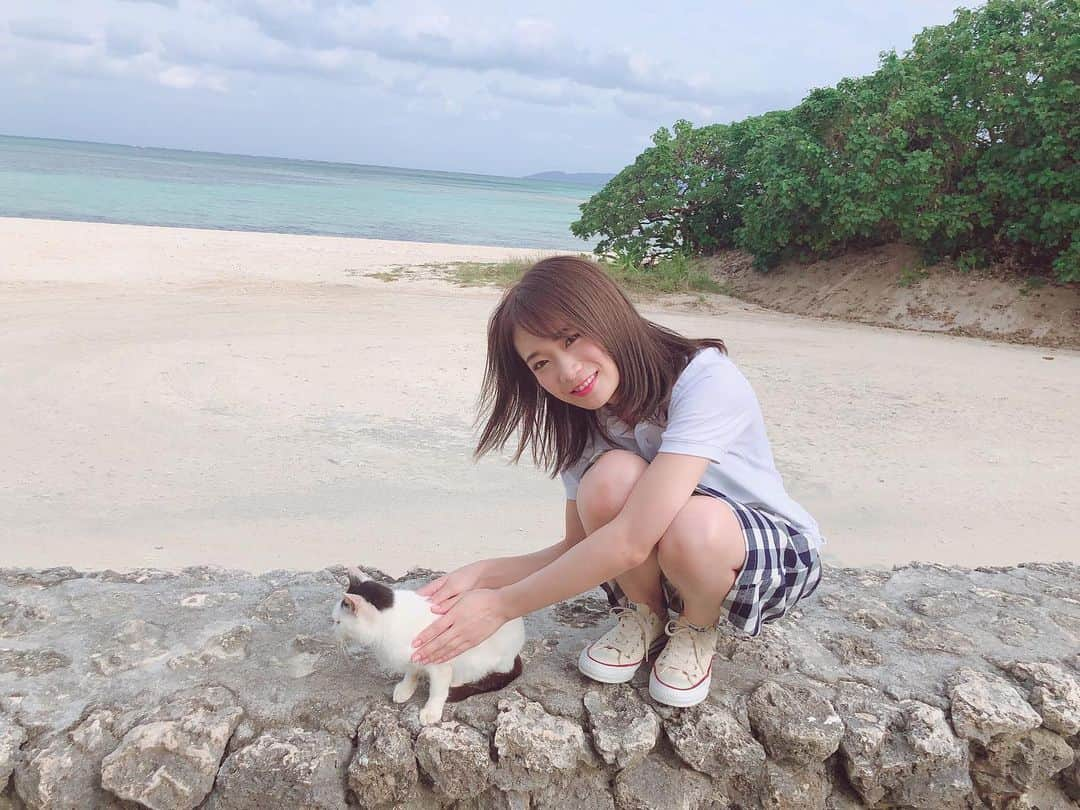 秋元真夏さんのインスタグラム写真 - (秋元真夏Instagram)「竹富島でもねこちゃん🐾から大人気のまなったん🐱💕 たっぷり遊んだあとは一緒にお昼寝しちゃってました💤  公式Twitterではねこちゃん🐾と戯れるまなったんの動画を公開中です🎥 癒やされてください😌💕 公式Twitter▶@manatsu_2nd  #秋元真夏2nd写真集 #しあわせにしたい #まなったんの写真集を応援しよう #4月8日発売」3月29日 19時33分 - manatsu.akimoto_official