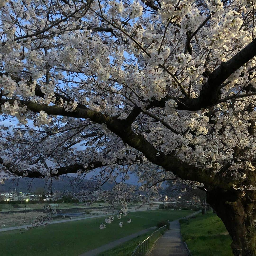 職人.comさんのインスタグラム写真 - (職人.comInstagram)「本日の京都市上京区です。夕暮れ時に散歩しました。空が澄んでいて綺麗でした。 @shokunincom  #職人ドットコム #京都 #京都市 #手仕事 #暮らしの道具 #そうだ京都行こう #暮らしを楽しむ #京都旅行 #京都巡り #京都観光 #京都散策 #京都散歩 #モノづくり #ものづくり #工芸品 #民芸 #民藝 #民芸品 #手工芸 #豊かな食卓 #キッチングラム #手作りのある暮らし #器のある暮らし #焼物 #焼き物」3月29日 19時45分 - shokunincom