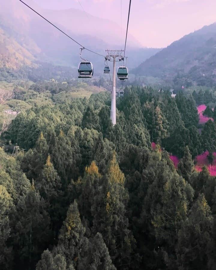 9GAGさんのインスタグラム写真 - (9GAGInstagram)「This is where we'll visit after all of this is over 😤😍 In the meantime, #stayhome. Follow @voyaged to travel virtually! | By @hobopeeba - #9gag #voyaged #travel #taiwan」3月29日 19時52分 - 9gag