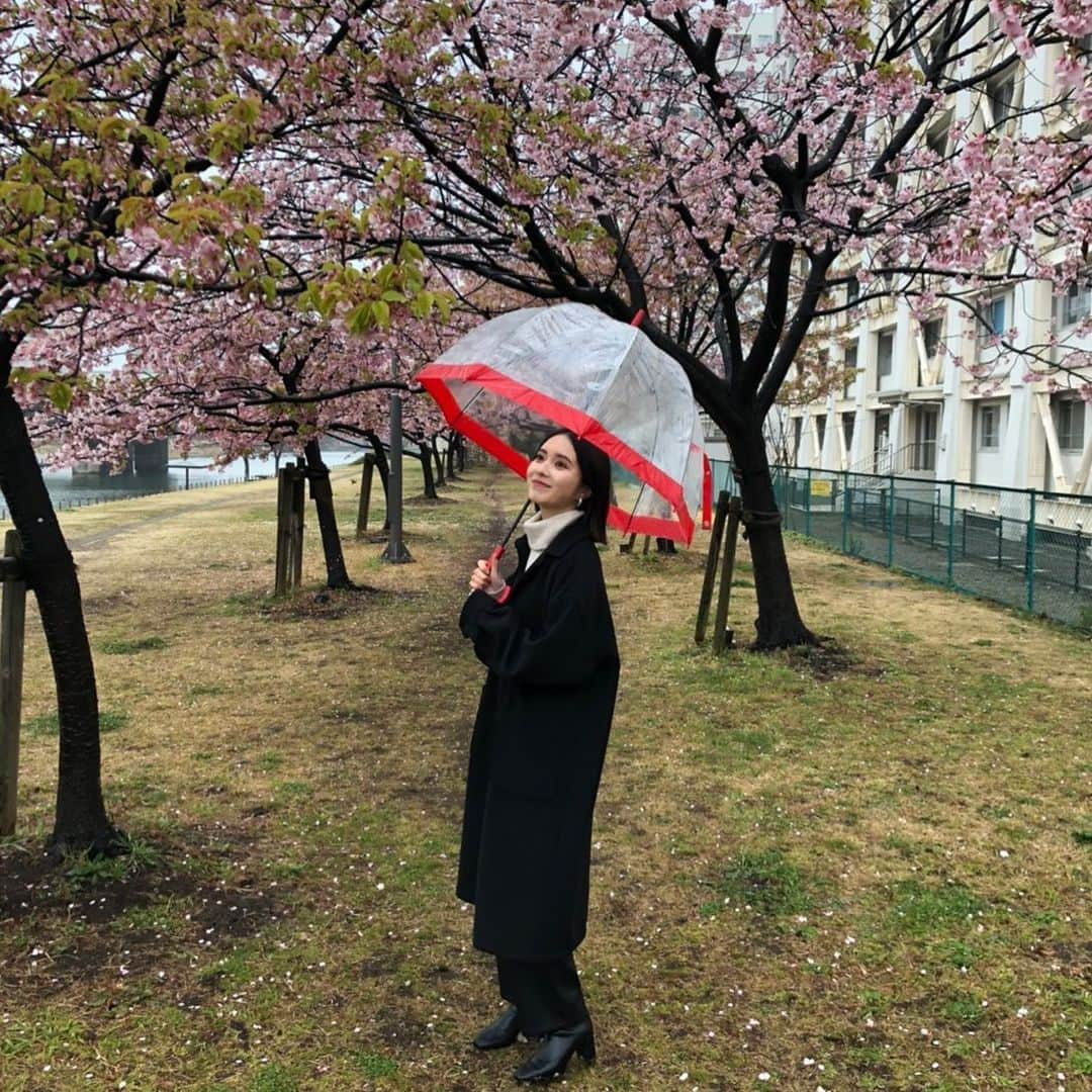 株式会社コンテンツ3のインスタグラム：「頑張れ！あずプニ あずプニの一コマ 雨の日に桜の下で、、 AbemaTV  オオカミちゃん 今夜最終回です。  #大原梓  #あずさ  #あずプニ #月とオオカミちゃんには騙されない #最終回🌙 #ぜひ見てね」