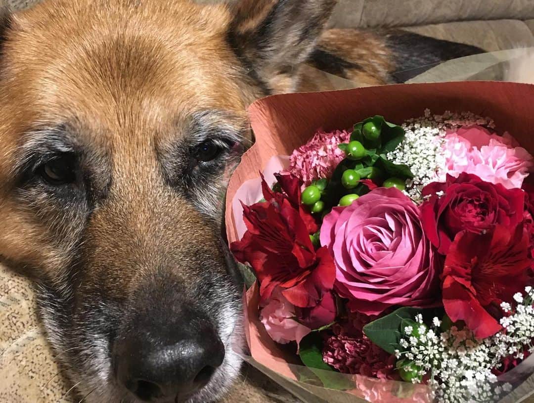 モハメッド・マリヤムさんのインスタグラム写真 - (モハメッド・マリヤムInstagram)「レセプションからいつも皆さんの背中を見て最高にかっこいいと思っていました…！ 本当に同じ空間で働くことができて幸せでした💐  Beautrium265の更なる発展とご活躍を心よりお祈りしております✂️ #beautrium265 #ginza」3月29日 20時17分 - mdc17miss_5