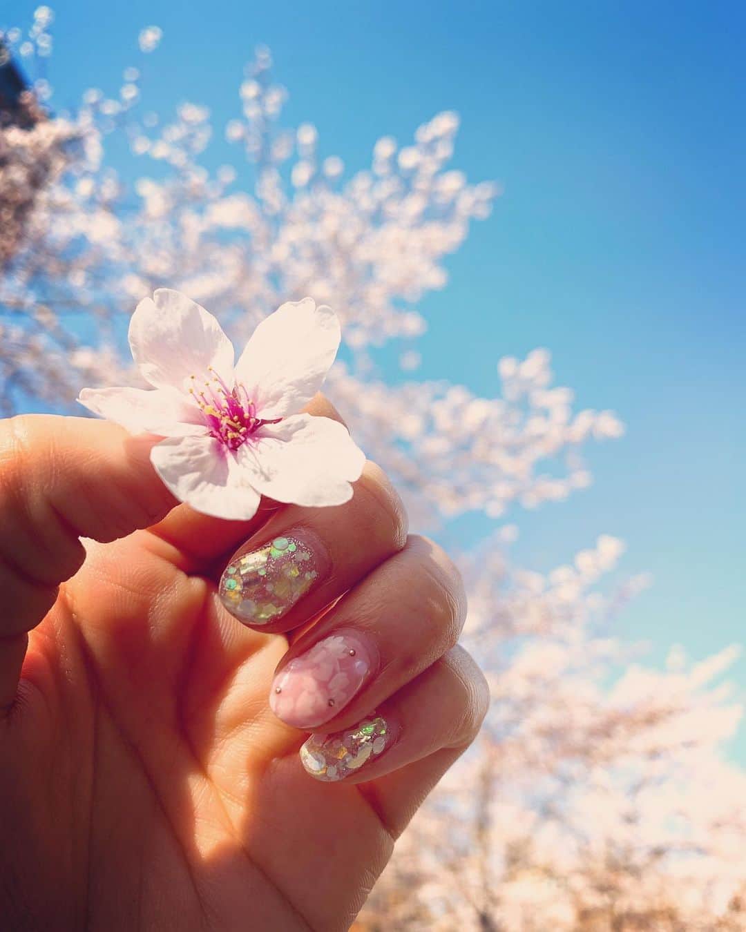 島津久美子さんのインスタグラム写真 - (島津久美子Instagram)「桜が満開となった先週🌸* 暗いニュースが多いけれど、街の桜や春のお花をみると癒されます🌷 * 1週間ニュースを毎朝お伝えし、五輪延期やコロナ、経済情報など、歴史に残るくらい重大で、日々の変化が大きいニュースとともに過ごした1週間でした。 * 外出自粛な週末は、手元の桜ネイルで春を感じながらゆっくり過ごしました🌸 * #桜ネイル #春ネイル #今月のネイル #ネイルデザイン #ピンクネイル #thankyou @usamimi_nail  #春 #私にも春よ来い #早く笑顔になーれ #外出自粛 #ひきこもりday #お家ご飯が美味しい #そんな週末でした #mynails #naildesign #springnails #cherryblossoms」3月29日 20時38分 - kumiko_shimazu