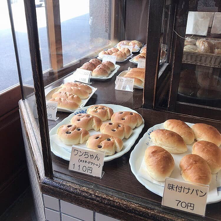 中島咲季のインスタグラム：「別府の思い出に浸ってるよ🥱🍞 . 最終日は別府をお散歩してパン屋に行ったりドーナツ屋に行ったり最後まで食を追い求めた旅だったの🤣 ワンちゃんパンみんな顔が違って可愛かった🐶 . #友永パン屋 #大分観光 #別府 #別府グルメ #ワンちゃん #パン屋巡り #食トレ #思い出グラム」