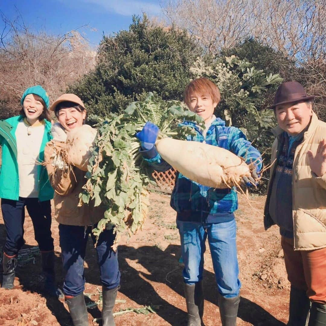 長沢裕さんのインスタグラム写真 - (長沢裕Instagram)「お久しぶりの投稿です🙇‍♂️！ 事前にお伝え出来ず申し訳なかったのですが、今朝の放送で川瀬さんと私はやさいの時間を卒業となりました！ 見てくださった皆さん、藤田先生、太陽さん、川瀬さん、スタッフさん皆さんには感謝の思いでいっぱいです！ 学生の頃から1人で三重県へ農業体験にいったり、埼玉県の小川町にお邪魔して自給自足で生活している方の畑を手伝わせてもらったりしていた中でそこで感じていた土に触れる気持ち良さ、畑で季節を感じる楽しさ、汗を流した後の水の美味しさ、なによりも自分で育てた野菜の美味しさをもっと知りたいし、それをもっと多くの方々と一緒に感じられたらなと思っていました。 この番組を通して沢山の方とそんな瞬間を共有させていただけた事が私にはこの上なく幸せです！ ご覧になってくださった皆さん、四年間本当にありがとうございました！ 日曜朝8時にお会いできることはなくなってしまいますがまたどこかでお会いできればと思います！ これからも太陽と仲良く、自然の恵みをたっくさん感じられる仕事をしていきたいと思います！ 長々と読んでいただき、ありがとうございました！それではまた！ #写真をみるにつけ#生き生きしていた#四年間#プランター#太陽のベジガーデン#やさいの時間#卒業」3月29日 20時58分 - nagasawa_yu