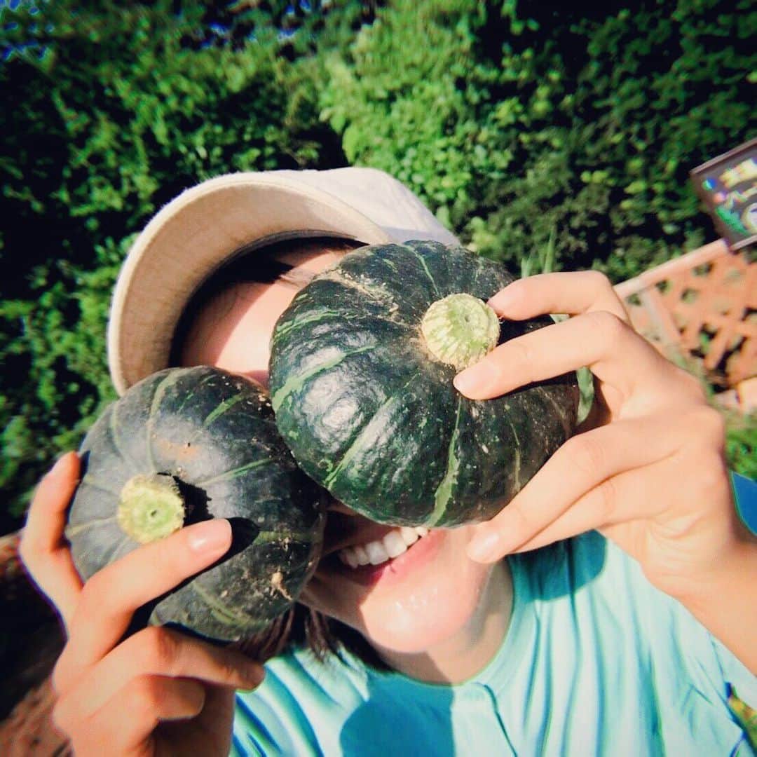 長沢裕のインスタグラム：「お久しぶりの投稿です🙇‍♂️！ 事前にお伝え出来ず申し訳なかったのですが、今朝の放送で川瀬さんと私はやさいの時間を卒業となりました！ 見てくださった皆さん、藤田先生、太陽さん、川瀬さん、スタッフさん皆さんには感謝の思いでいっぱいです！ 学生の頃から1人で三重県へ農業体験にいったり、埼玉県の小川町にお邪魔して自給自足で生活している方の畑を手伝わせてもらったりしていた中でそこで感じていた土に触れる気持ち良さ、畑で季節を感じる楽しさ、汗を流した後の水の美味しさ、なによりも自分で育てた野菜の美味しさをもっと知りたいし、それをもっと多くの方々と一緒に感じられたらなと思っていました。 この番組を通して沢山の方とそんな瞬間を共有させていただけた事が私にはこの上なく幸せです！ ご覧になってくださった皆さん、四年間本当にありがとうございました！ 日曜朝8時にお会いできることはなくなってしまいますがまたどこかでお会いできればと思います！ これからも太陽と仲良く、自然の恵みをたっくさん感じられる仕事をしていきたいと思います！ 長々と読んでいただき、ありがとうございました！それではまた！ #写真をみるにつけ#生き生きしていた#四年間#プランター#太陽のベジガーデン#やさいの時間#卒業」