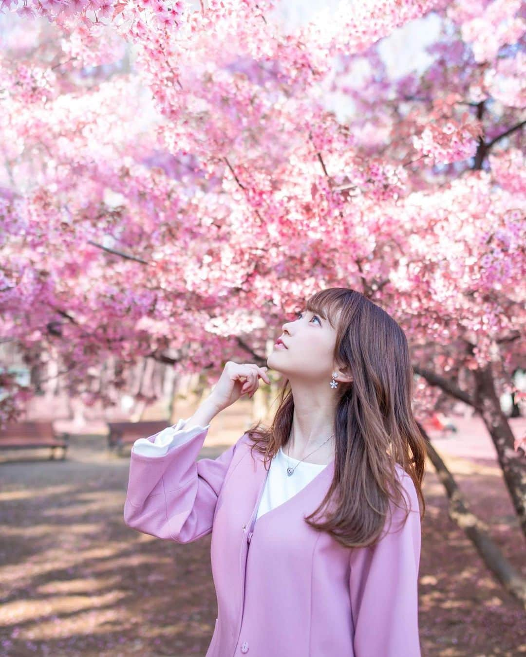 佐々木舞音さんのインスタグラム写真 - (佐々木舞音Instagram)「去年の桜🌸」3月29日 21時08分 - sasaki_maine