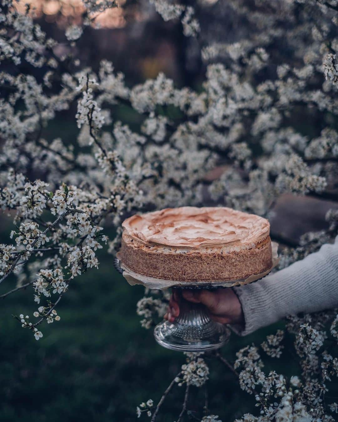 Our Food Storiesさんのインスタグラム写真 - (Our Food StoriesInstagram)「Soon on the blog, the recipe for this easy and delicious gluten-free cheesecake with meringue 😋 #ourfoodstories ____ #countrysideliving #countrysidelife #fellowmag #gatheringslikethese #momentslikethis #tablesetting #tabledecor #springiscoming #springvibes #gardeninspiration #oldbarn #rusticstyle #onthetable #germanfoodblogger #foodstylist #foodphotographer #simplejoys」3月29日 21時15分 - _foodstories_